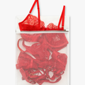 Lingerie Care Bag