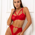Zayla Lingerie Set